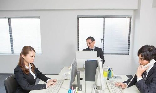 物业客服工作内容与团队构成及薪资全解析