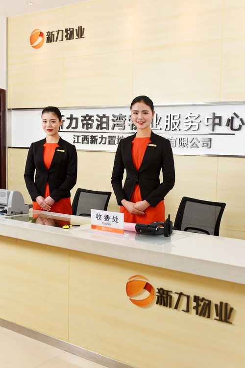 新力物业·匠心之美 以服务为笔，绘就生活画卷